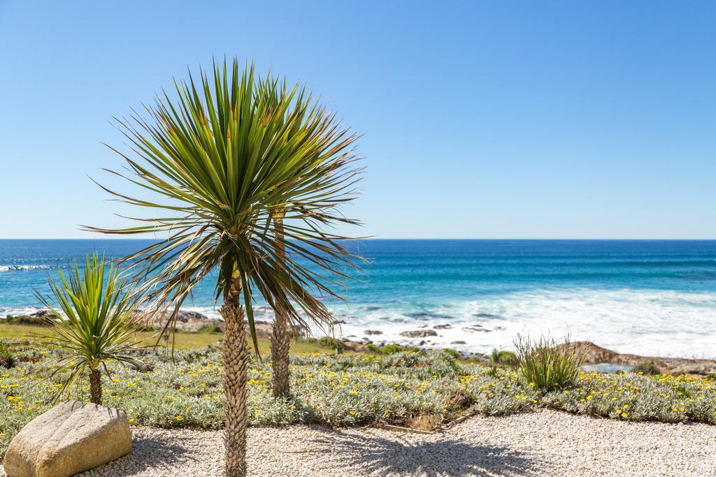 Saltwater - Absolute Oceanfront, Fire Pits, Some Villas With Hot Tubs And Sauna Falmouth Exterior photo